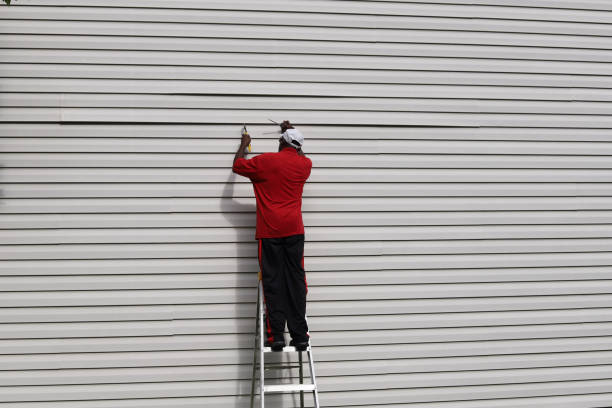 Best Custom Siding Design  in Redlands, CA